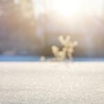 Home snowflakes 1236245 1920